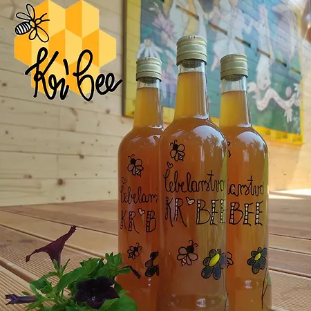Hébergement de vacances Glamping Kr'bee
